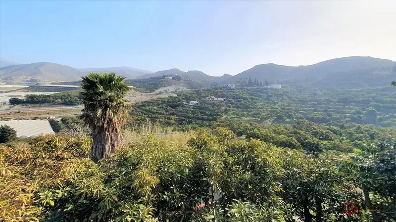 Finca Rustica en Venta Motril 7 Dormitorios 4 Baños 30000m2