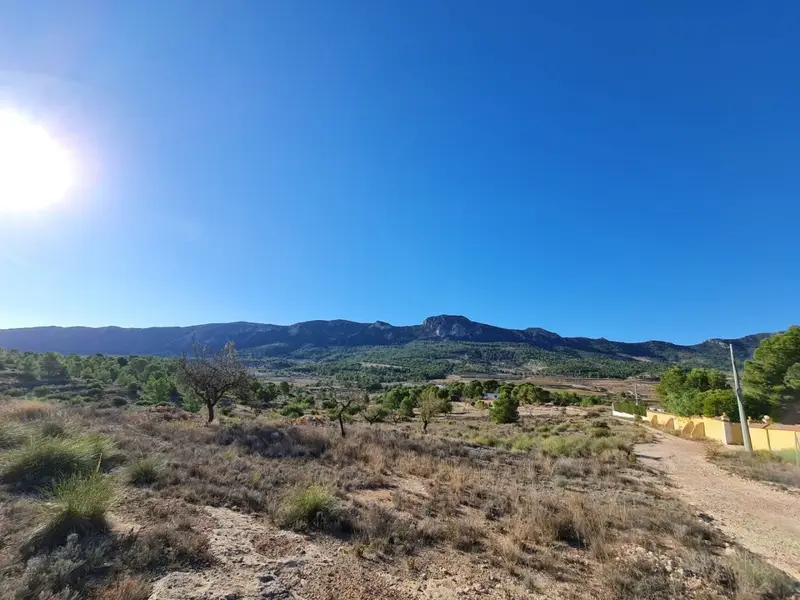 Terreno en Venta Campo Mediterráneo Español