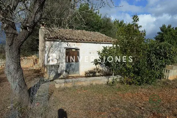 Finca Rustica Inca 2887m2 Almendros Higueras