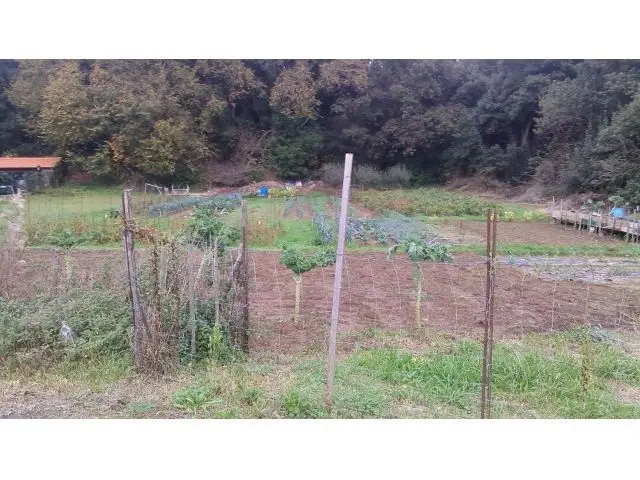 Solar en Venta Isla Sálvora Cantabria