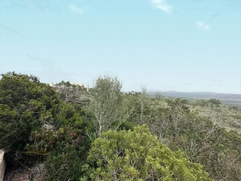 Venta Suelo en Puntiró 7315m2 Vistas Panorámicas
