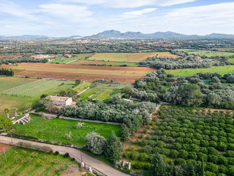 Finca Rustica Mallorca 109000m2 Casa 539m2 Reformar Vistas