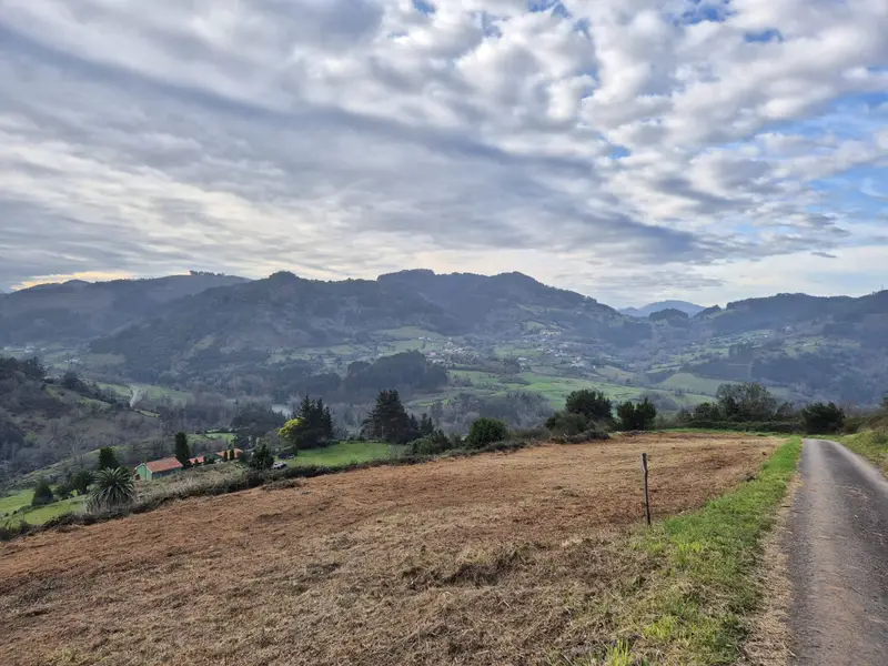 Venta Solar en Candamo - Tres Fincas en la Fenolleda