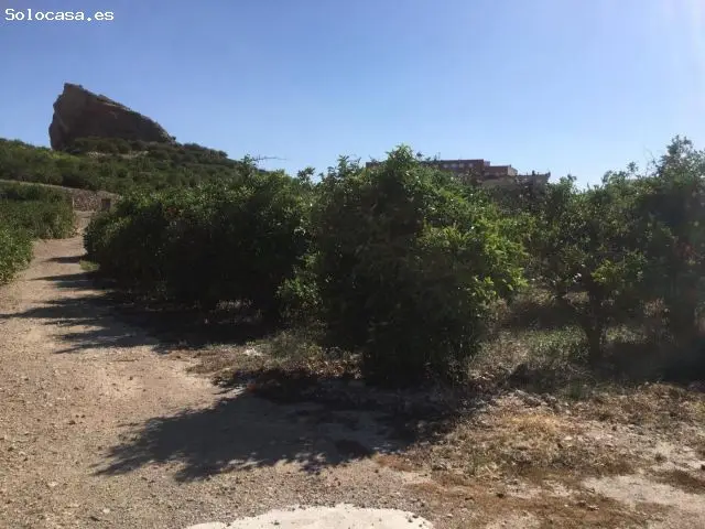 Venta Terreno 13800m2 560 Limoneros Riego Acequia