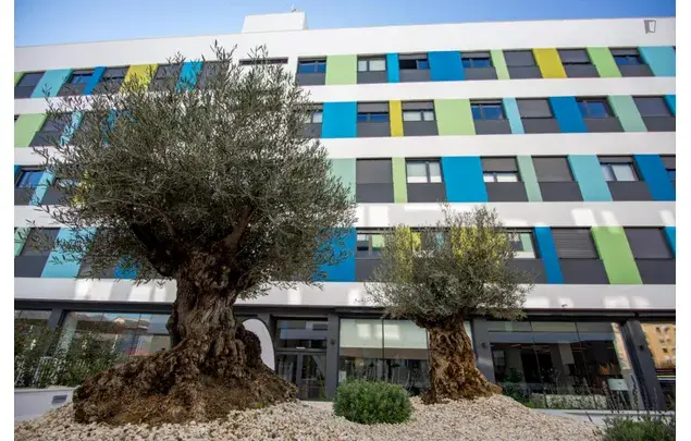 Alquiler Habitacion Granada Estudiantes Descuentos