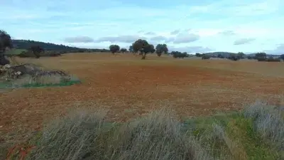 Finca rústica en venta en Bazán