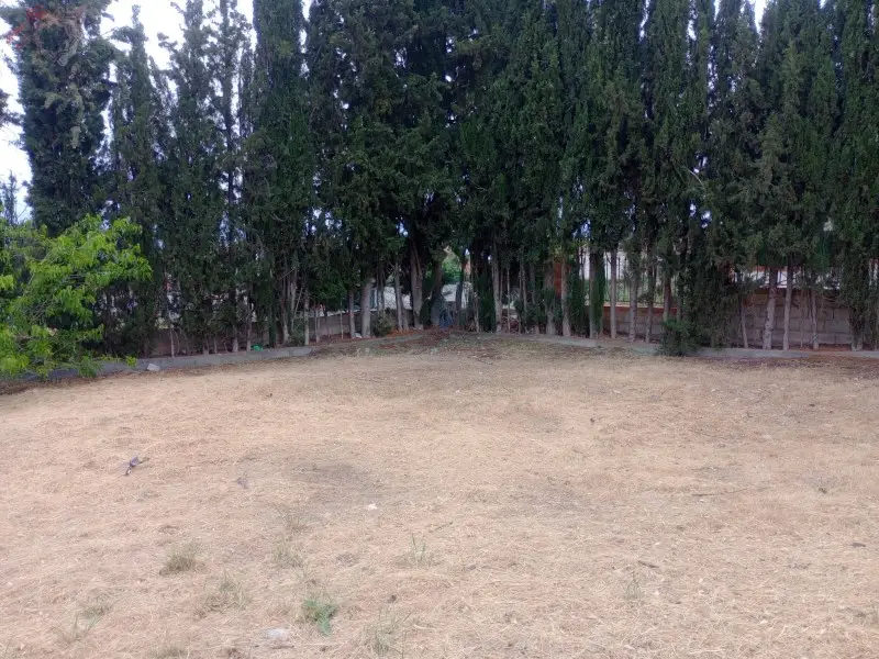 Parcela en Belicena para Vivienda - Ref 00744