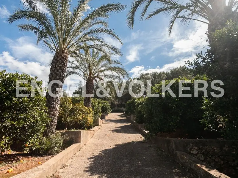 Finca Rustica con Casa en Carcaixent Valencia