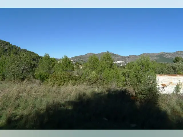 Terreno en Venta Jalón España 11000m2