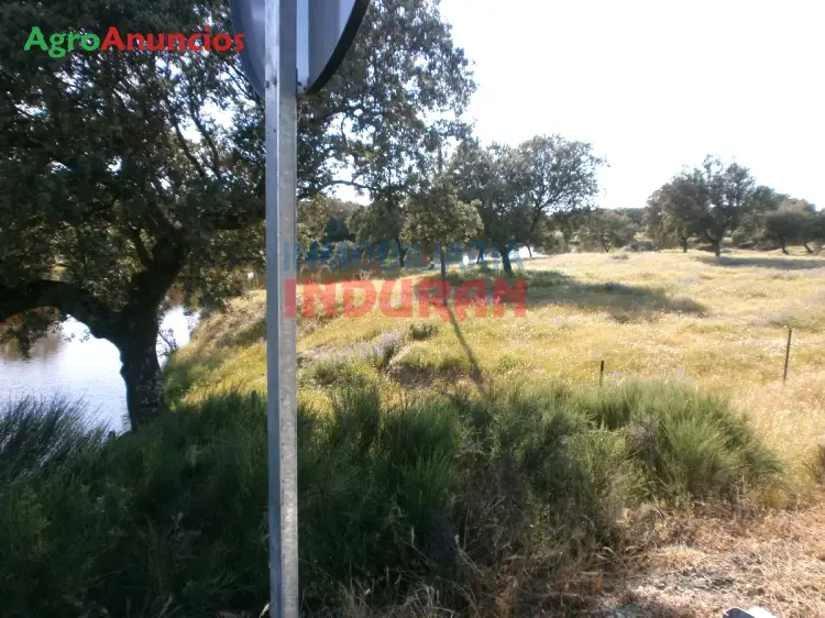 Venta  de Finca ganadera con cebadero y 2 viviendas en Cáceres