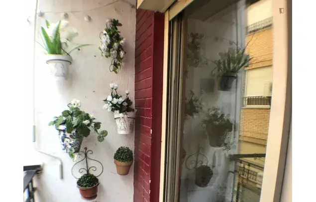 Alquiler Apartamento 4 Dormitorios Granada Estudiantes