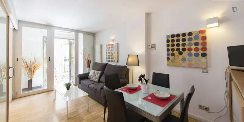 Very cool 2-bedroom apartment near the Tirso de Molina metro