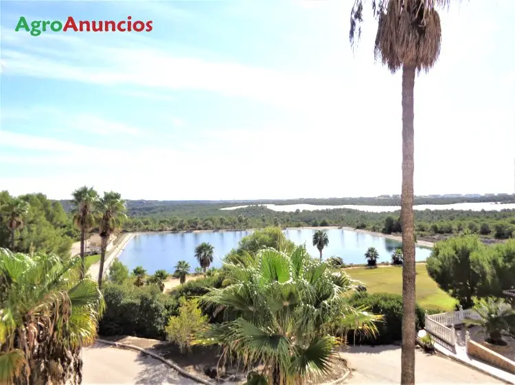 Venta  de Finca agricola y de recreo con campo de golf en Alicante