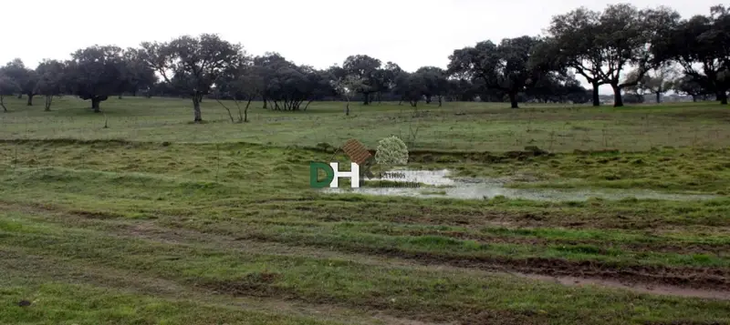 Venta Finca Rustica 556 Hectareas Caceres