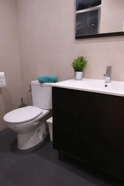 Apartamento 1 Dormitorio Madrid