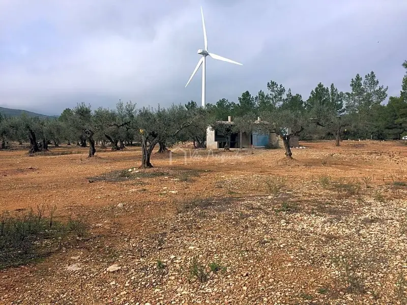 Finca Rustica en Venta El Perello Tarragona