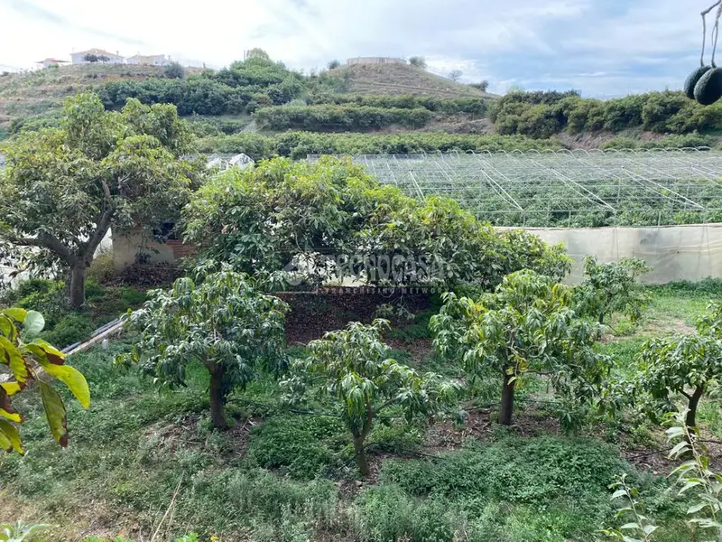 Finca Ecologica en Venta Almayate