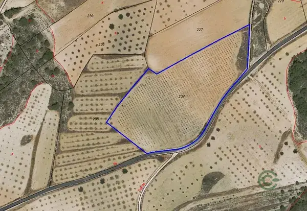 Parcela Agricola 18000m2 Jumilla Murcia