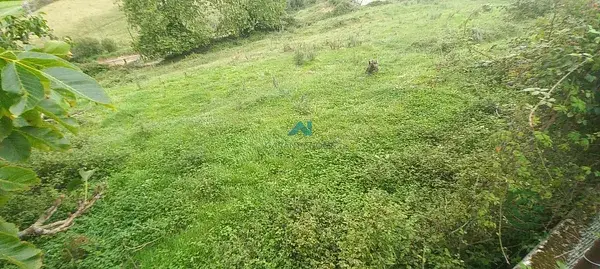 Terreno Rustico en Colindres 4700m2