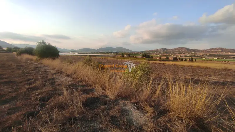 Venta Parcela Buenas Vistas Alcana Aspe