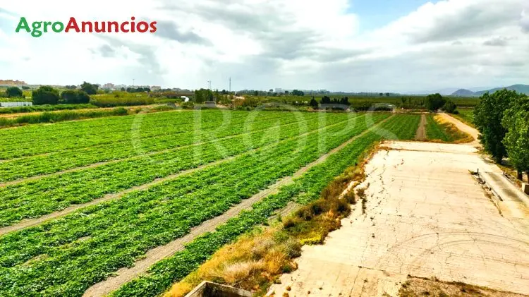 Venta  de Finca de regadío en Valencia