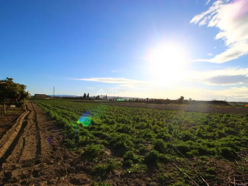 Finca Rustica en Venta Churriana de la Vega 1182m2