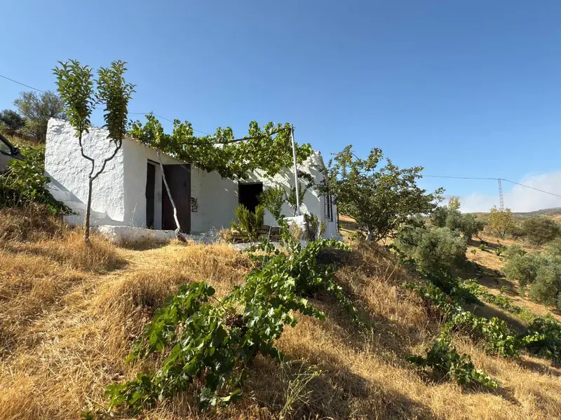 Chalet en venta en Alhama de Granada con terreno y viñas