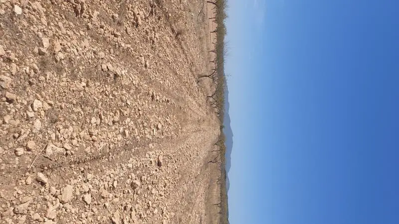 Terreno en Venta Pinoso Alicante: Parcela 14000m2 Vistas a Viñedos
