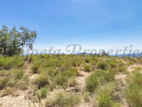 Terreno en venta Canillas de Albaida, España