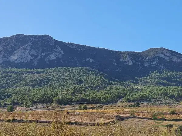 Solar Edificable en La Romana 20491m2