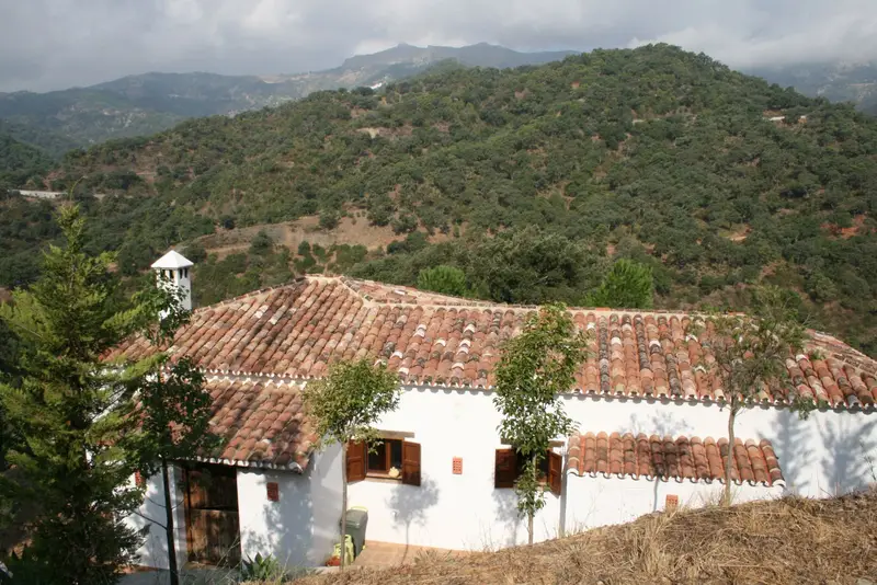 Piso de 1 Dormitorios en venta Jubrique, España