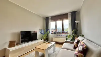 Alquiler Piso 3 Dormitorios Oviedo Las Campas