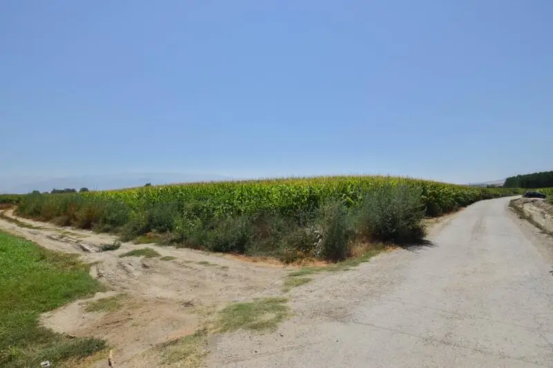 Finca Rustica 5000m2 Belicena Vega Granada