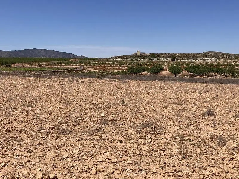 Solar Plano en Lel cerca de Pinoso