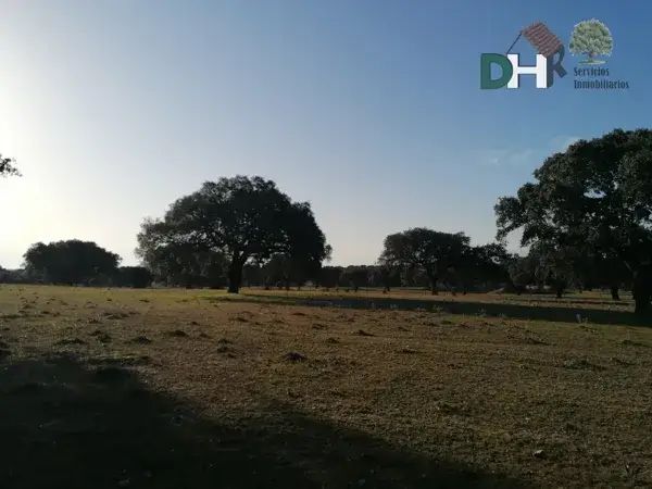 Finca Ganadera 420 Has en Caceres