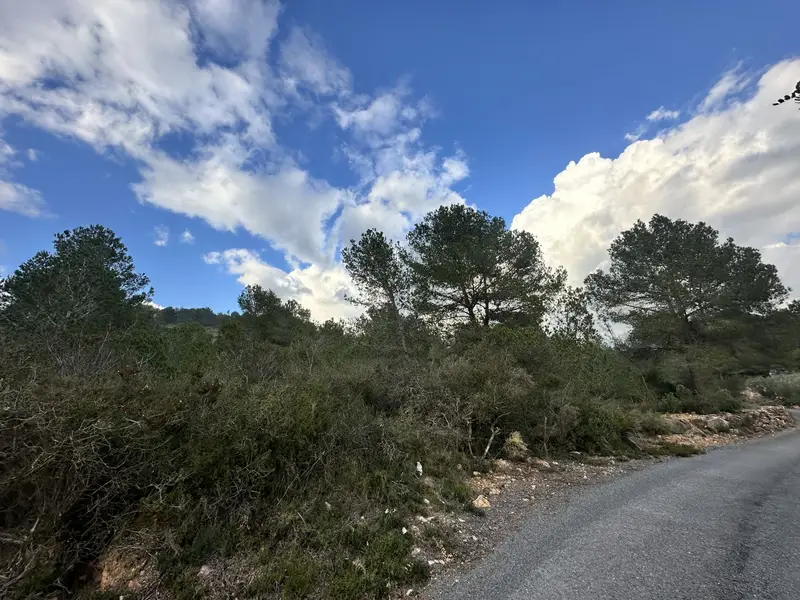 Venta Terreno Rustico Sagunto 6133m2