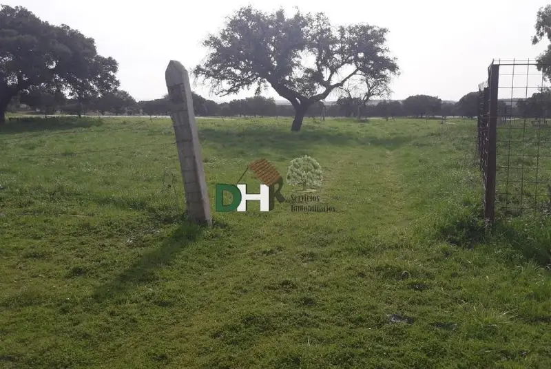 Venta Finca Rustica 150 Hectareas Ciudad Real