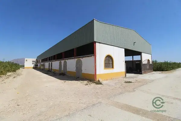 Finca Agricola con Naves y Viviendas - Bigastro