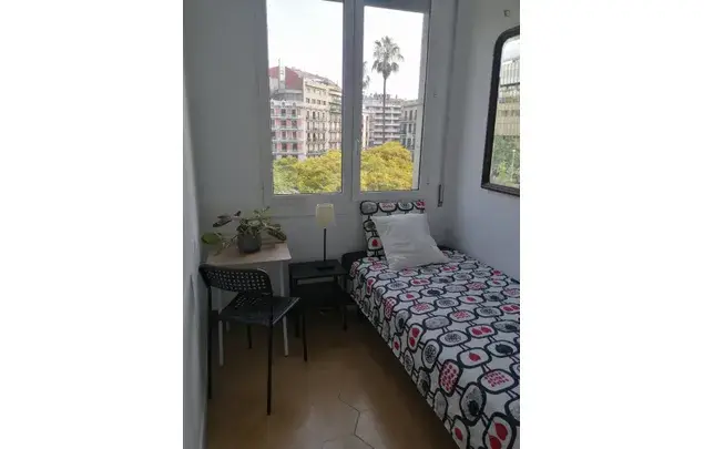 Alquiler Apartamento 7 Dormitorios Barcelona Estudiantes Erasmus