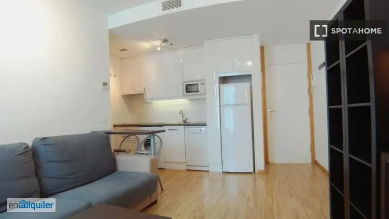 Apartamento Centro Madrid 1 Dormitorio Profesionales