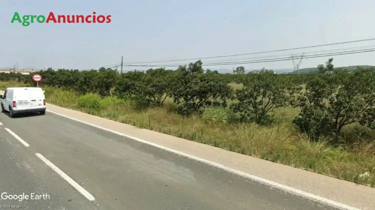 Venta  de Finca con almacén en Valencia