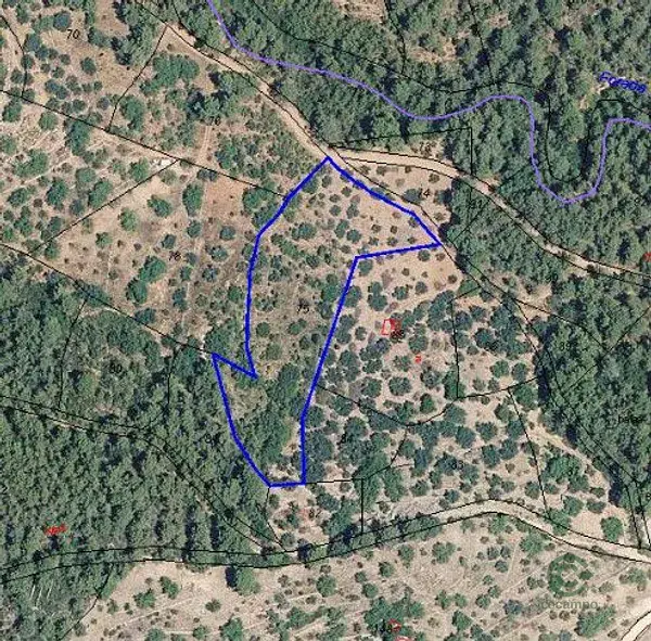 Finca Rustica en Sueras