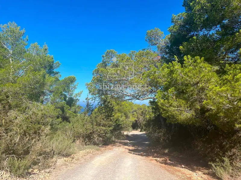 Parcela Rustica en Venta cerca de Es Vedra Ibiza
