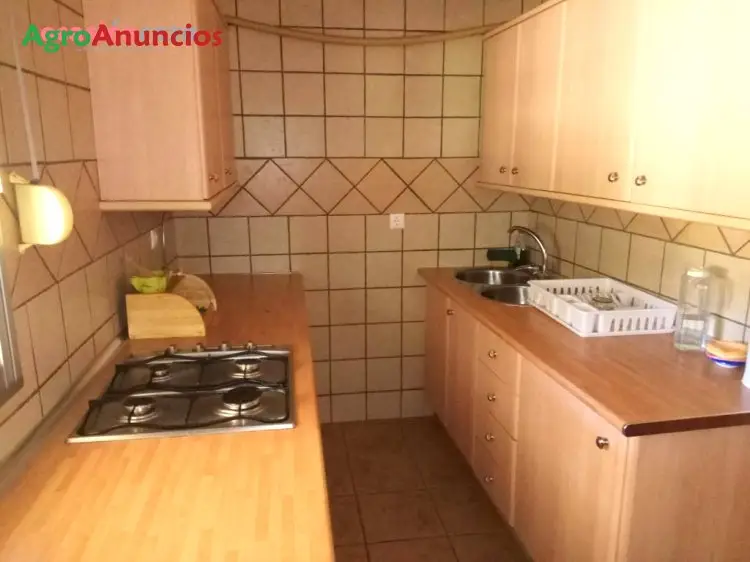 Venta  de Chalet con olivos y nave en Córdoba