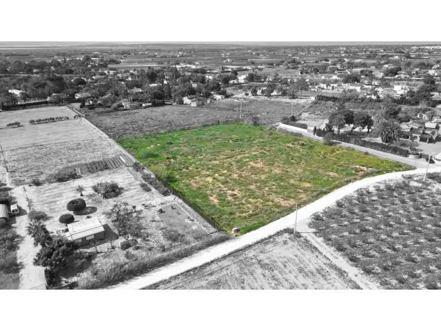 Terreno En Elche