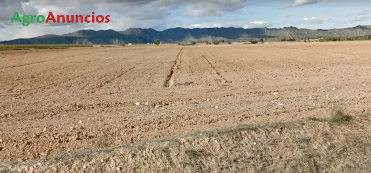 Venta  de Finca edificable con agua potable en Alicante