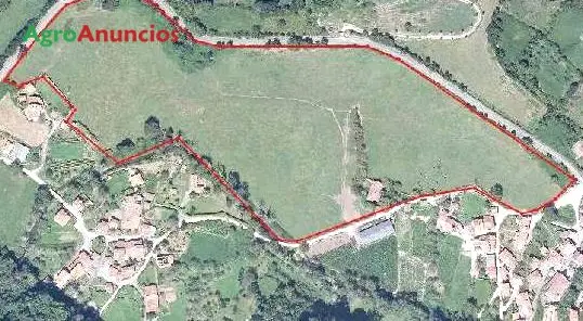 Venta  de Fincas llanas edificables y parcelables en Asturias