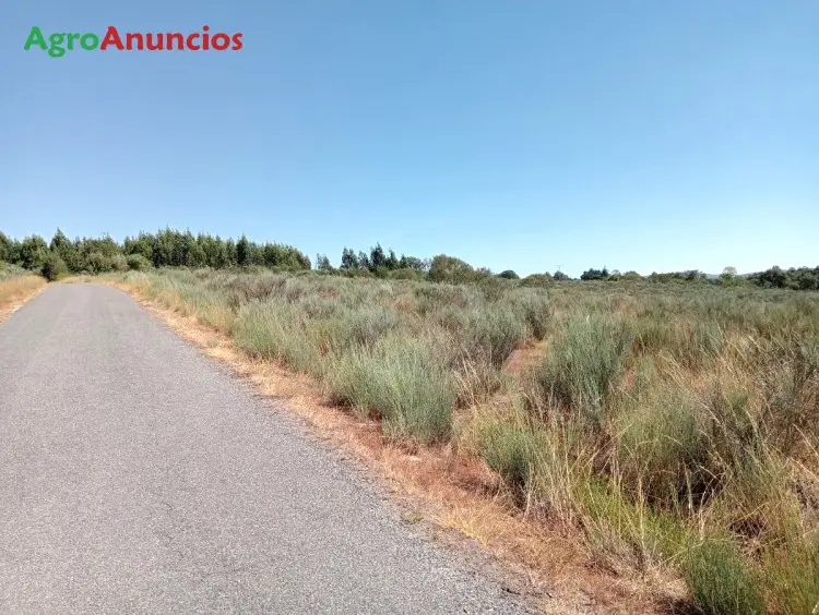 Venta  de Terreno rústico en Ourense