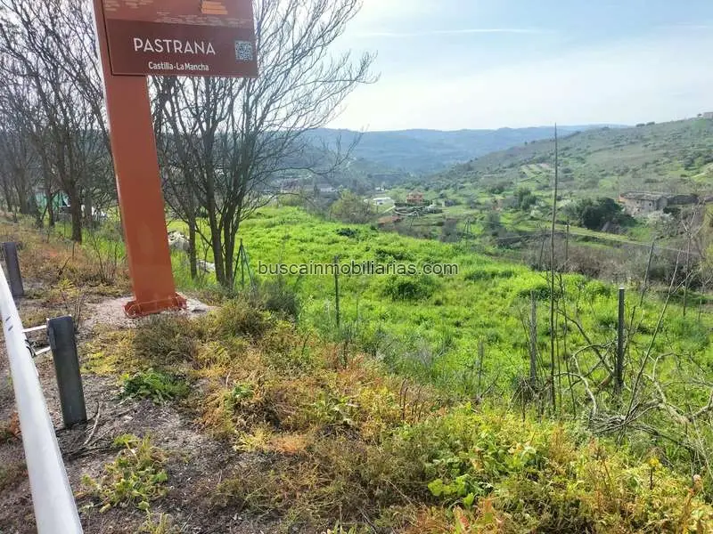 Parcela Rustica en Venta Pastrana Guadalajara