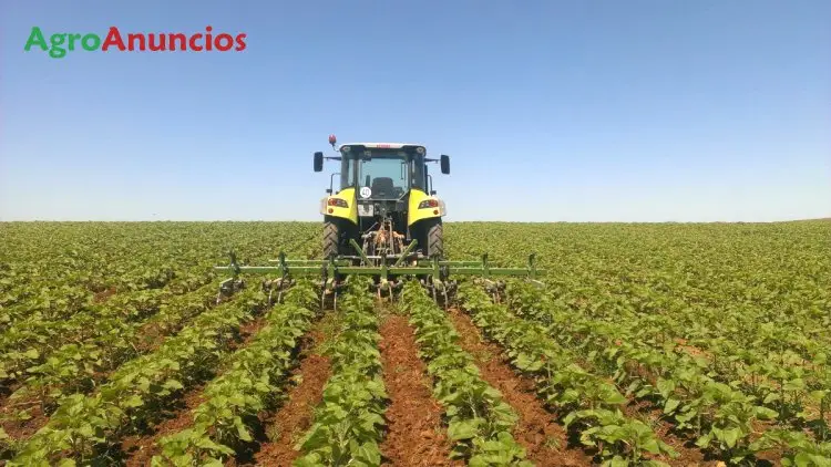 Demanda  de Finca de secano en Sevilla